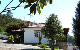 Quinta De S. Vicente 317